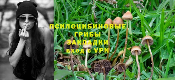 прущая мука Баксан