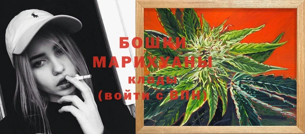ГАЛЛЮЦИНОГЕННЫЕ ГРИБЫ Балахна