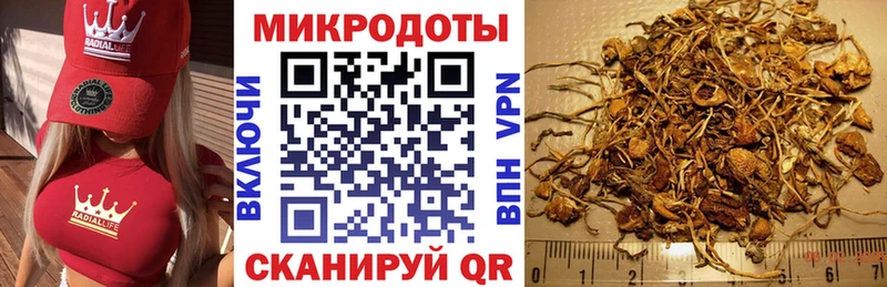 Галлюциногенные грибы GOLDEN TEACHER Ленинск